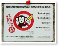 サルの看板