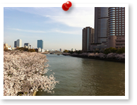 見えないけど大阪城が…