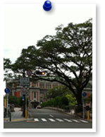 中央公会堂と栴檀木橋